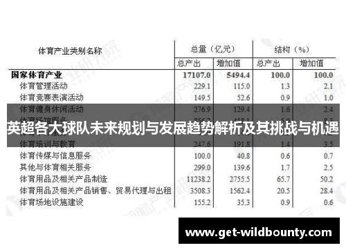 英超各大球队未来规划与发展趋势解析及其挑战与机遇 英超各大球队未来规划与发展趋势解析及其挑战与机遇