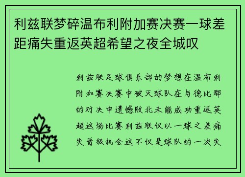 利兹联梦碎温布利附加赛决赛一球差距痛失重返英超希望之夜全城叹 利兹联梦碎温布利附加赛决赛一球差距痛失重返英超希望之夜全城叹